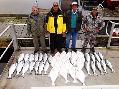 Halibut and silver salmon limits for a combo fishing charter with Driftwood Charters.
