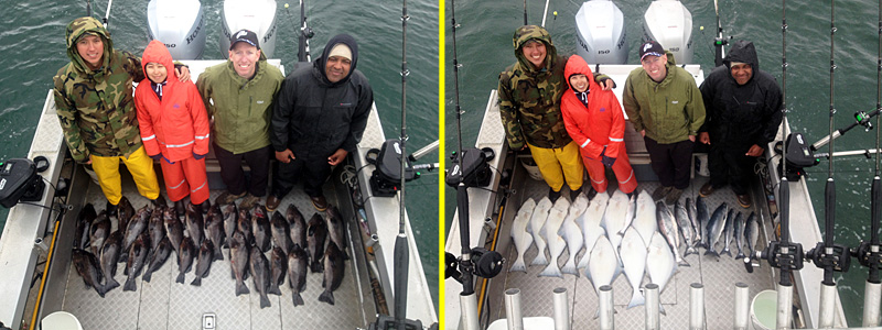 Kings, Sockeye, Pink salmon, Dolly Varden, Rockfish and halibut all on one combo fishing trip with Driftwood Charters in Homer Alaska.