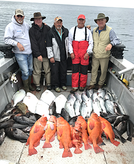 275px x 335px - Captain Shane Blakely's DRIFTWOOD CHARTERS fishing halibut, salmon, winter  king salmon, lingcod, rockfish and combo trips in Homer Alaska on the Kenai  Peninsula.