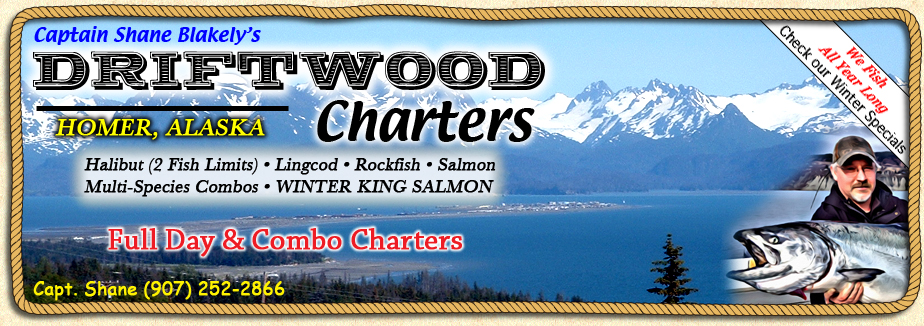 Halibut charters, rockfish charters, king salmon charters and combo fishing charters in Homer Alaska.